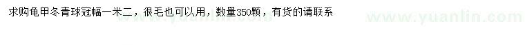 求購冠幅1.2米龜甲冬青球