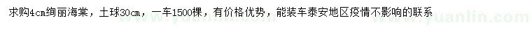 求購(gòu)4公分絢麗海棠