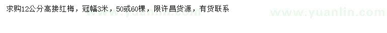 求購12公分高接紅梅
