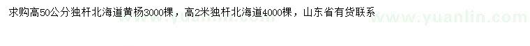 求購(gòu)高50公分、2米北海道黃楊
