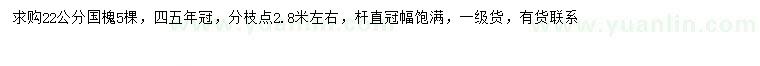 求購22公分國槐