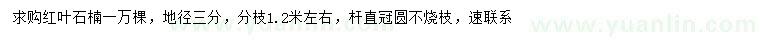 求購地徑3公分紅葉石楠
