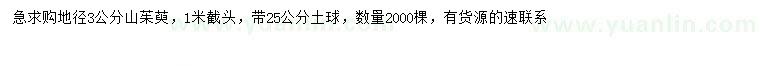 求購地徑3公分山茱萸
