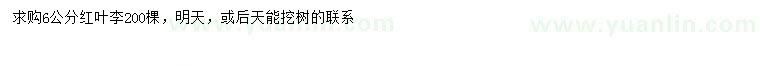 求購(gòu)6公分紅葉李