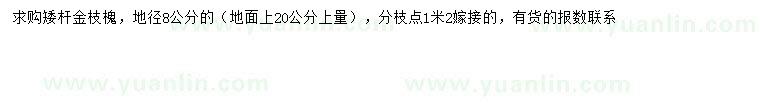 求購20量8公分金枝槐