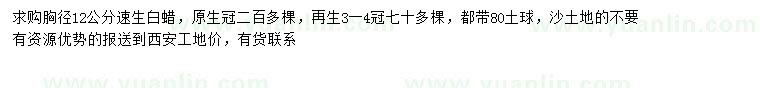 求購胸徑12公分速生白蠟