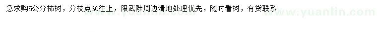 求購(gòu)5公分柿子樹(shù)