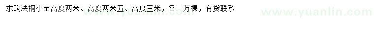 求購(gòu)高2、2.5、3米法桐