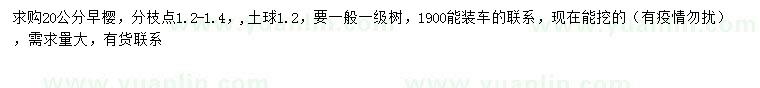 求購(gòu)20公分早櫻