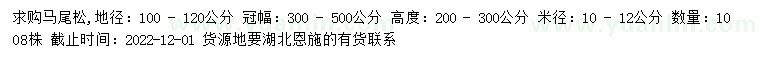 求購地徑100-120公分馬尾松