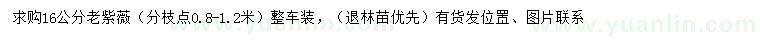 求購16公分老紫薇