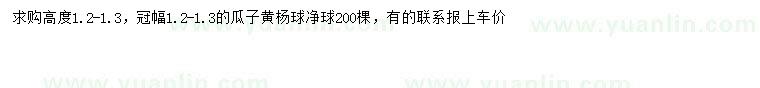 求購冠幅1.2-1.3米瓜子黃楊球