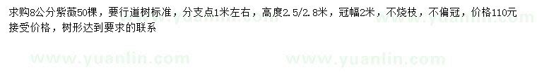 求購8公分紫薇