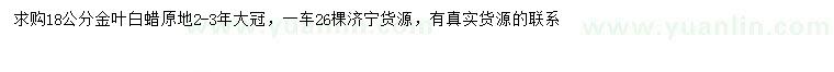 求購18公分金葉白蠟