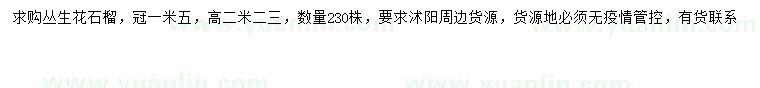 求購(gòu)冠幅1.5米叢生花石榴