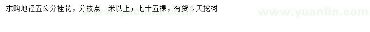 求購(gòu)地徑5公分桂花