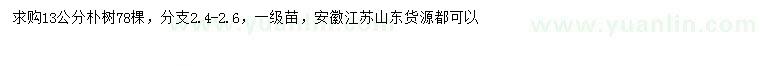 求購13公分樸樹