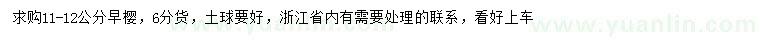 求購11-12公分早櫻