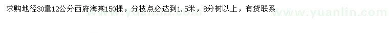 求購30量12公分西府海棠