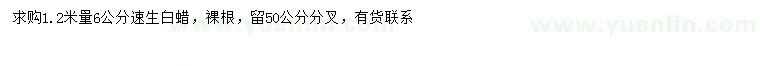 求購1.2米量6公分速生白蠟