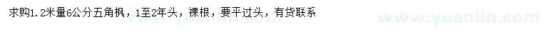 求購1.2米量6公分五角楓