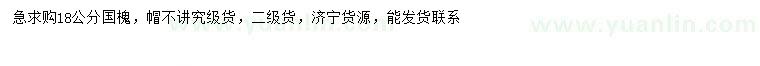 求購18公分國槐