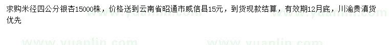 求購米徑4公分銀杏