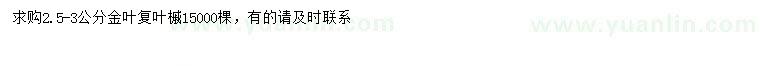 求購2.5-3公分金葉復(fù)葉槭