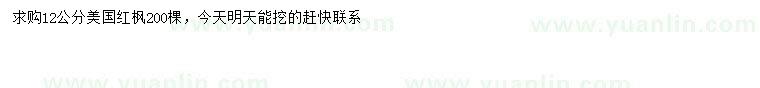求購12公分美國紅楓