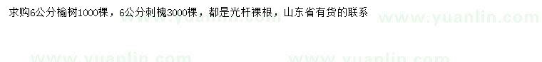 求購6公分榆樹、刺槐