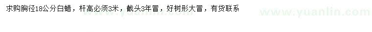 求購胸徑18公分白蠟