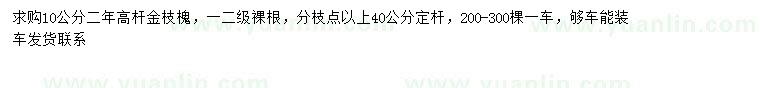 求購(gòu)10公分高桿金枝槐