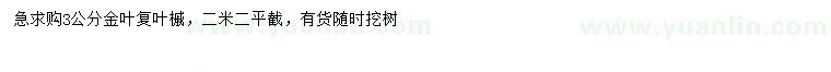 求購3公分金葉復(fù)葉槭