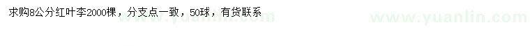 求購8公分紅葉李