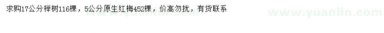 求購(gòu)5公分紅梅、17公分櫸樹