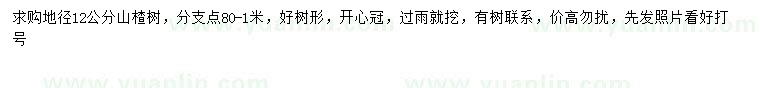 求購地徑12公分山楂樹
