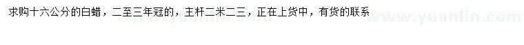 求購16公分白蠟