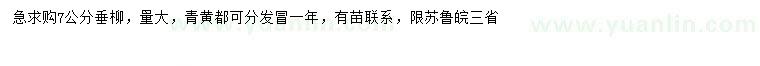 求購7公分垂柳