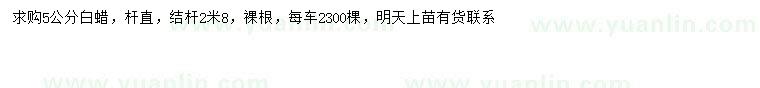 求購5公分白蠟