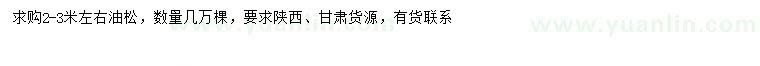 求購2-3米左右油松