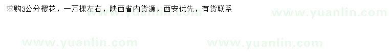 求購3公分櫻花