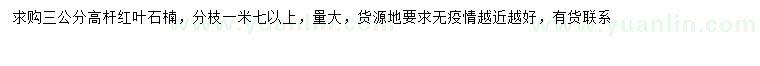 求購3公分高桿紅葉石楠