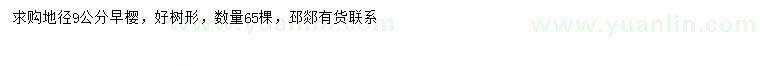 求購地徑9公分早櫻