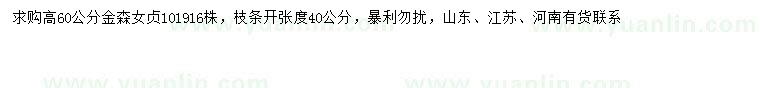 求購高60公分金森女貞