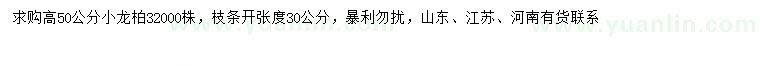 求購高50公分龍柏