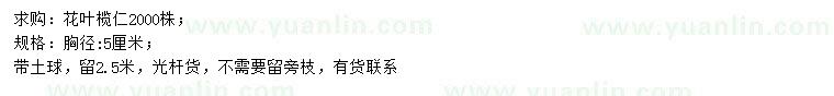 求購胸徑5公分花葉欖仁
