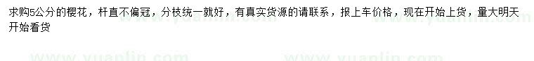 求購5公分櫻花