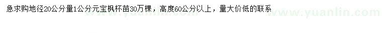 求購(gòu)20量1公分元寶楓
