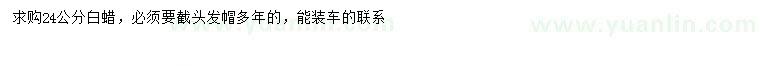 求購24公分白蠟
