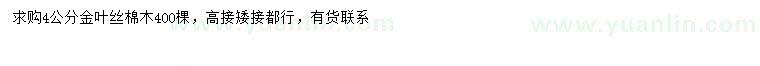 求購(gòu)4公分金葉絲棉木